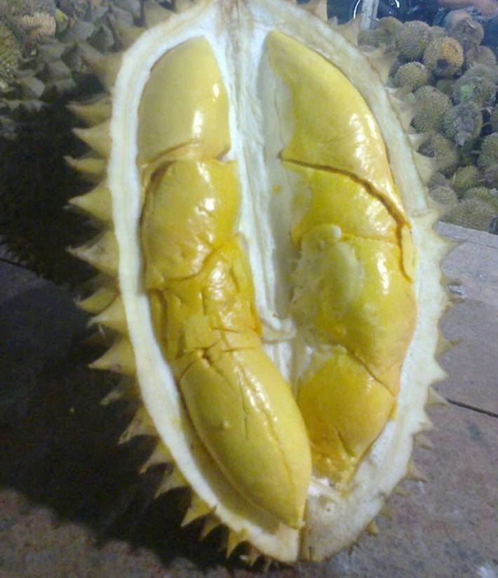 kampung durian 5